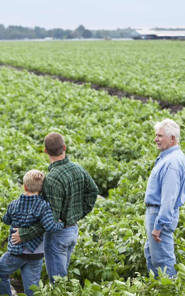 Farmers viewing a field